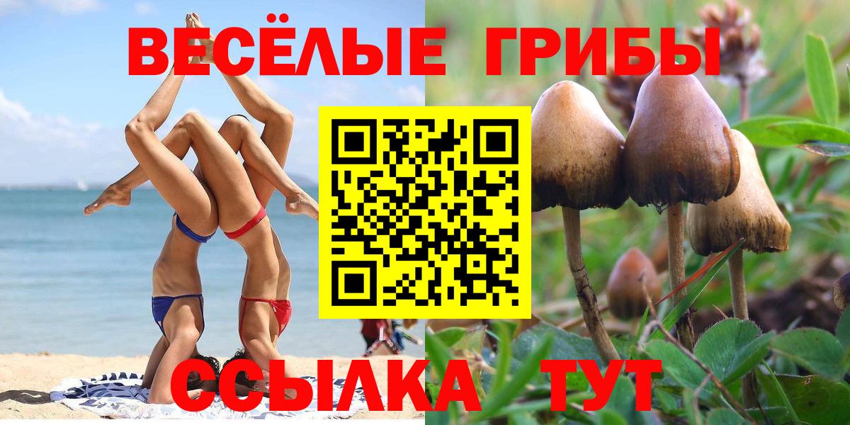 Котовск  Галлюциногенные грибы GOLDEN TEACHER  где купить наркотик  Вход с VPN 