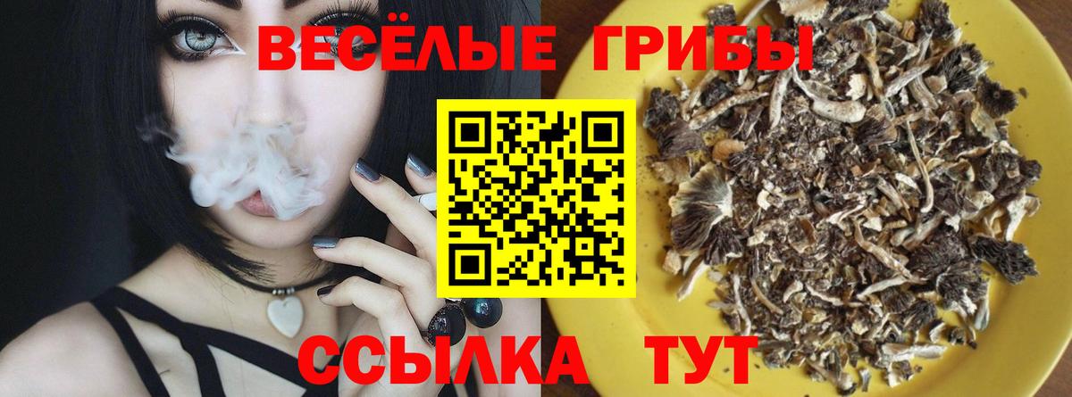 Галлюциногенные грибы прущие грибы Котовск